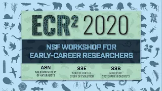 ECR^2: NSF Workshop for Early Career Researchers
