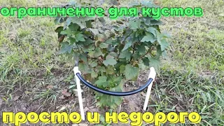 Ограждение для кустов из полипропиленовых труб!!!  Просто и удобно!!! Как сделать своими руками?