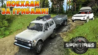 ПОЕХАЛ С ДЕВУШКОЙ ЗА ГРИБАМИ - SPINTIRES