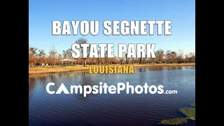 Bayou Segnette State Park, Louisiana