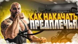 КАК НАКАЧАТЬ ПРЕДПЛЕЧЬЯ | 5 ЛУЧШИХ УПРАЖНЕНИЙ