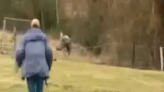 Giant Bird Attacks Boy  & Donkey Runs Like A Bitch
