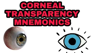 Corneal Transparency || Mechanism of Corneal Transparency || Mnemonics
