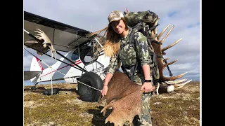 Shed Hunting for Moose Antlers