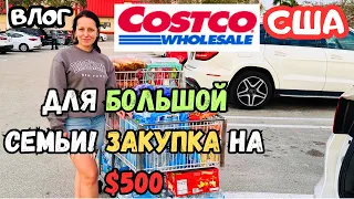 ЗАКУПКА в Costco на $500! / ШОППИНГ в ОПТОВОМ магазине в АМЕРИКЕ / ФЛОРИДА