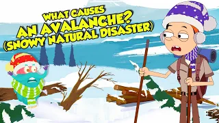 What Causes an Avalanche? | How To Survive An Avalanche | Natural Disaster | Dr Binocs show