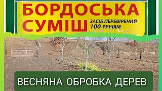 Весняна обробка дерев бордоською сумішшю 🌳🌳🌳