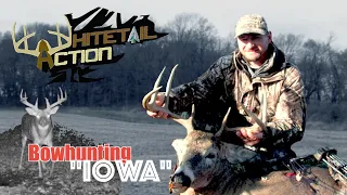 Whitetail Action-"Iowa" Bowhunting Iowa Whitetails During The Rut!