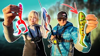 SPRING PIKE FISHING 🐊 (Curly vs Paddle vs Twin Tail)