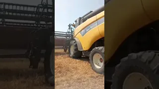 Жнива.New Holland CX 8090.