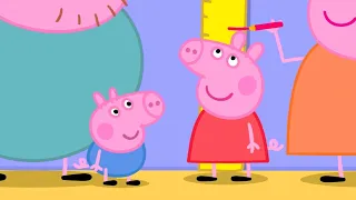 Qual é a altura da Peppa? | Peppa Pig Português Brasil Episódios Completos