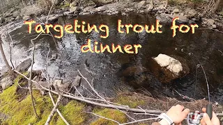 Catch & cook brook trout | may 5, 2024