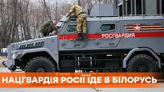 Росгвардия движется в сторону Беларуси | Протесты в Минске и Беларуси сегодня