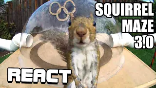 React: Backyard Squirrelympics 3.0- The Summer Games