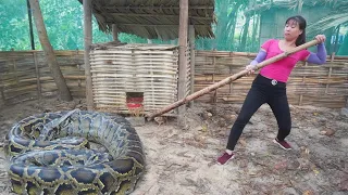 [30 Day] Raise Chicken, Biggest python snake attack my farm to eat chicken - Farm Life