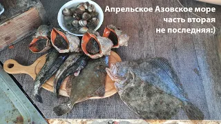 Апрельское азовское море часть вторая не последняя:)) дневная подводная охота 2024 морская охота