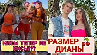 ЧТО СЛУЧИЛОСЬ С КОМАНДОЙ КИС?? ЛЕДИ ДИАНА РАССКАЗАЛА ПРАВДУ О СЕБЕ!!