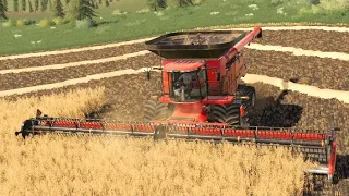 Creating A MASSIVE Farm on No Mans Land #13| Farming Simulator 19 Timelapse | FS19 Timelapse