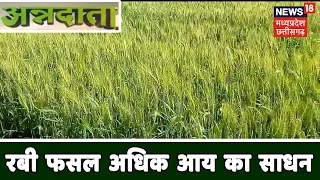 रबी फसल (Ravi Crops) की खेती बन सकती है अधिक आय का साधन|अन्नदाता|Annadata|3 Oct 2019