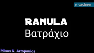 Ranula / Βατράχιο