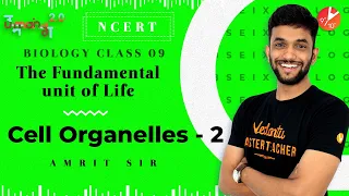 The Fundamental Unit of Life L3 | Cell Organelles L2 | CBSE Class 9 Biology NCERT Umang 2020 Vedantu