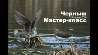 Черныш. Мастер-класс