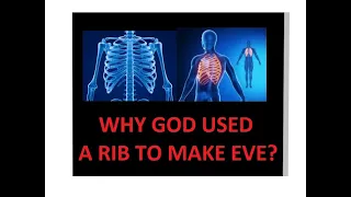 Why Did God Use A Rib To Create Eve?