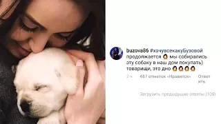 Бузова написала комментарий Костенко🤣товарищи это дно