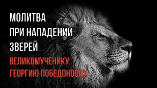 Что делать, чтобы зверь не напал молитва при нападении зверей Георгию Победоносцу  кондак и тропарь