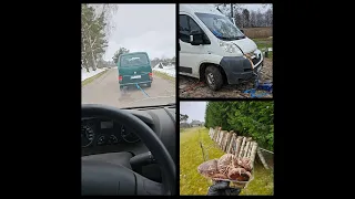 Iškrito autobuso variklis, Žemė arbūzams, Shiitake grybai