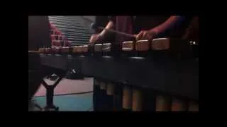 Hall Of Fame (The Script) Marimba Cover