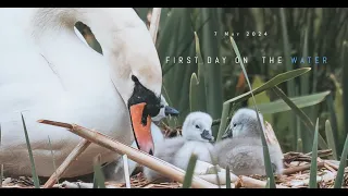 First Day on the Water