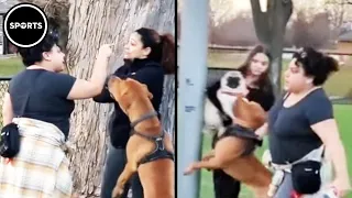 Karen Shows Exactly What NOT To Do At The Dog Park