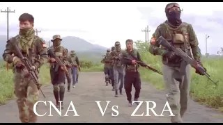 CNA Vs  ZRA military power comparison 2024