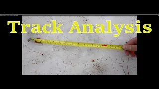 My Bigfoot Story Ep. 53 - Foot Prints In The Snow Analysis