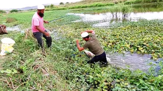 Incredible Fishing|Fisher Man Catching The Rohu Fishes To Catch With Hook|Unique Fishing Video