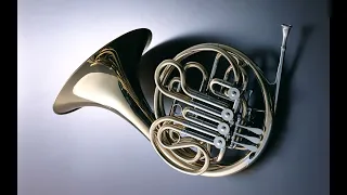 #валторна #frenchhorn Mamay Nikita Y. Shkroup Concert for French Horn in B-dur/ A. Stradella  Aria