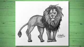 How To Draw A Majestic Lion 🦁| Graphite Pencil ✍️ Drawing Timelapse | Easy Tutorial For Beginners