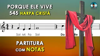 Porque Ele Vive | Partitura com Notas Flauta Doce, Violino e Playback no Piano