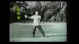 陳発科直系　顧留馨　太極拳 Chen faka style Taichi