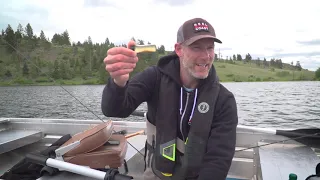 Corbett Lake Lodge Rainbow Trout