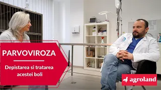 PARVOVIROZA: depistarea și tratarea acestei boli | Dr. Gabriel Orghici