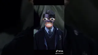 Chamber of secrets (deleted scene)