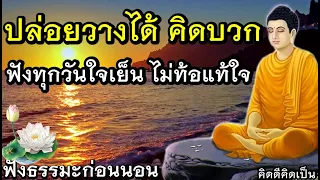 ปล่อยวาง คิดบวก สิ่งที่ทุกคนต้องมีคือ สติ🙏ฟังธรรมะก่อนนอน ได้บุญ (687)30🙏