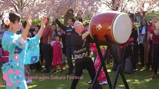 Sakura Festival 2022 - See You Next Year :)