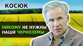 Юрий Косюк: Украина не разбогатеет от рынка земли | 5 фактов | Latifundist