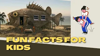 Fun Facts | fun facts for kids | video for kids | facts you should know