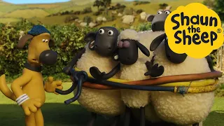 Shaun the Sheep 🐑 Captured Sheep - Cartoons for Kids 🐑 Full Episodes Compilation [1 hour]