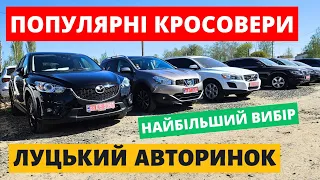 ПОПУЛЯРНІ КРОСОВЕРИ  // ЛУЦЬКИЙ АВТОРИНОК // 02.05.2024р. #автопідбір #кросовери  #автобазар