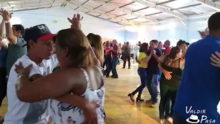 VEM BAILAR COMIGO E FLOR DO MEU JARDIM FRANCISCO BELTRAO